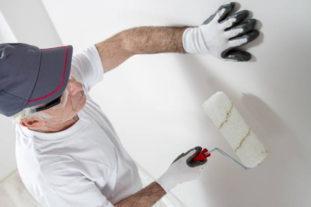 Best Emergency Mold Remediation  in Mullens, WV