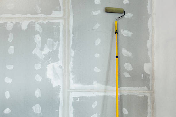 Mold Remediation for Rental Properties in Mullens, WV
