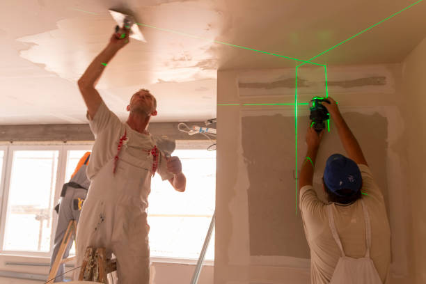 Professional Mold Removal in Mullens, WV