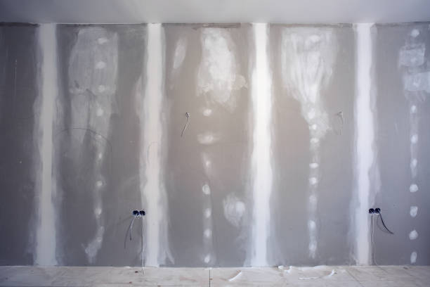Best Mold Remediation for Rental Properties  in Mullens, WV